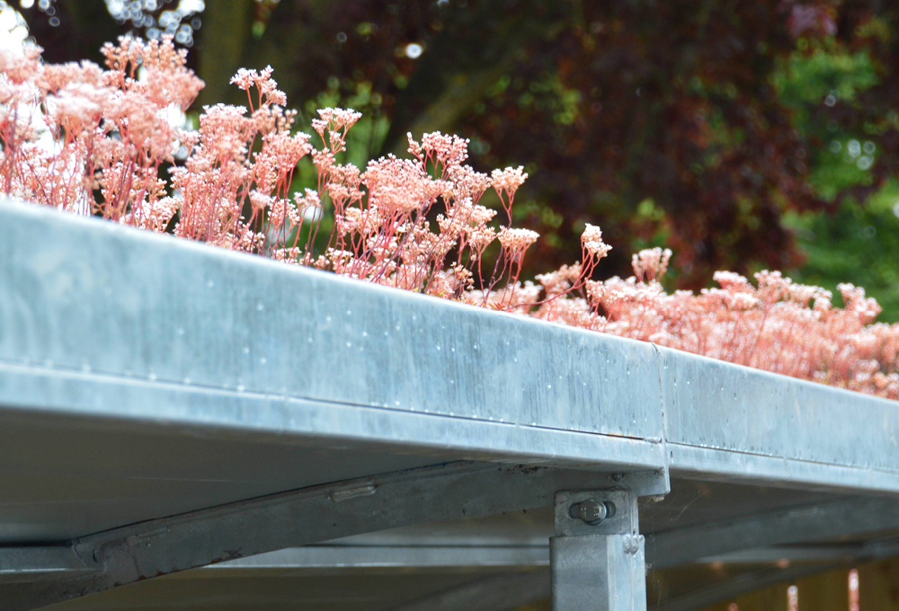 Green Roof Wheelie Bin Stores From metroSTOR Green Roof Wheelie Bin Stores From metroSTOR